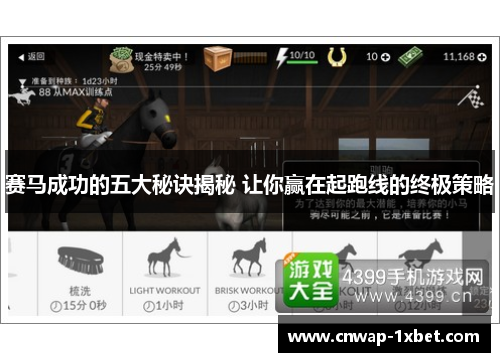 赛马成功的五大秘诀揭秘 让你赢在起跑线的终极策略