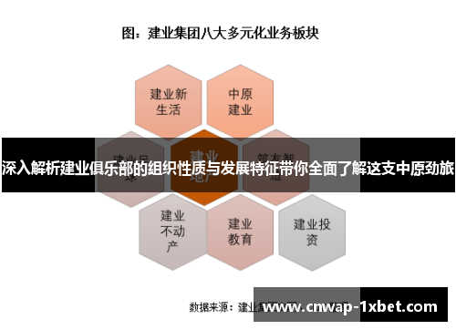 深入解析建业俱乐部的组织性质与发展特征带你全面了解这支中原劲旅