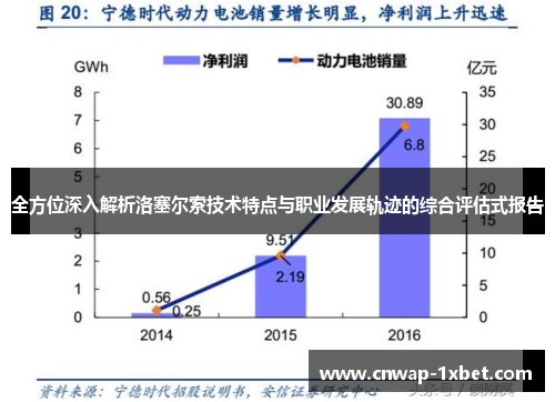 全方位深入解析洛塞尔索技术特点与职业发展轨迹的综合评估式报告 全方位深入解析洛塞尔索技术特点与职业发展轨迹的综合评估式报告