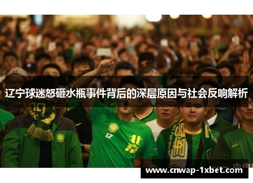辽宁球迷怒砸水瓶事件背后的深层原因与社会反响解析